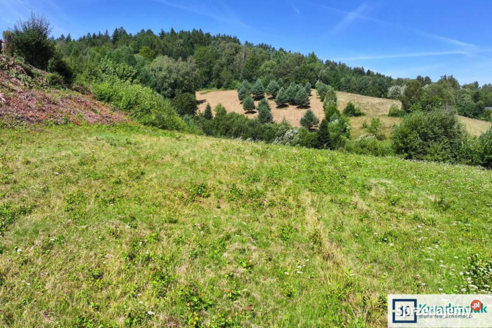 sprzedaży działki 7013m2 Bukowiec
