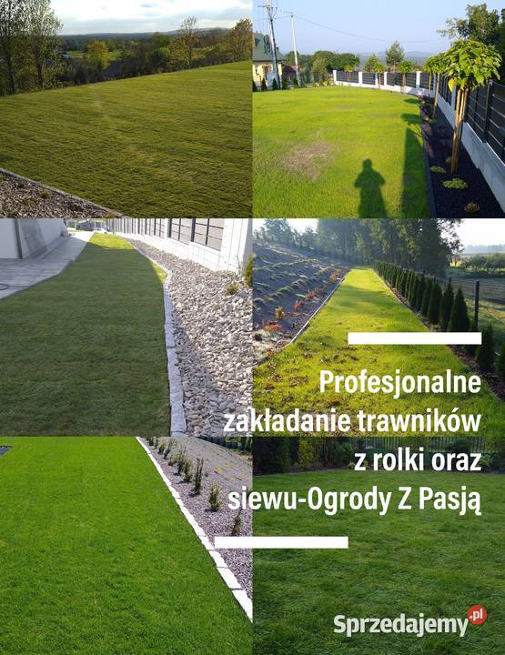 Ogrody trawniki systemy Nawadniające Usługi świętokrzyskie Kielce