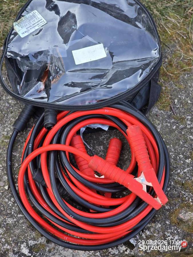 Renault Master 2020 nieuszkodzony łódzkie Głowno