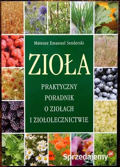 Zioła Praktyczny poradnik o ziołach i Świdnica