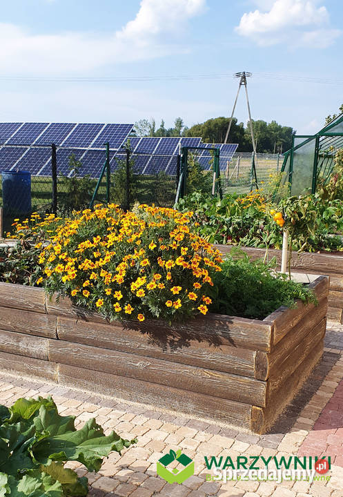 Rabata betonowa Skrzynie na warzywa Warzywnik Górno