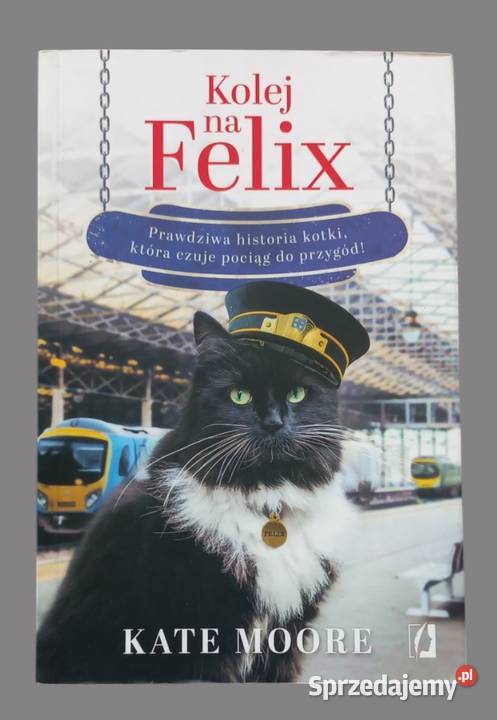 Kolej na Felix Prawdziwa historia kotki która Chrzanów