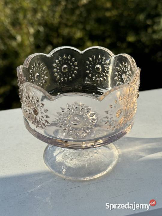 Pucharek stokrotki w nietypowym kolorze podkarpackie