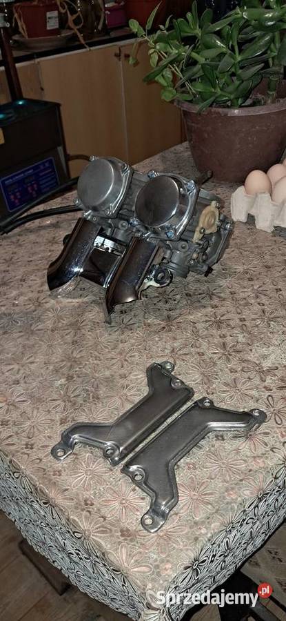 Gazniki Yamaha V Rościszewo