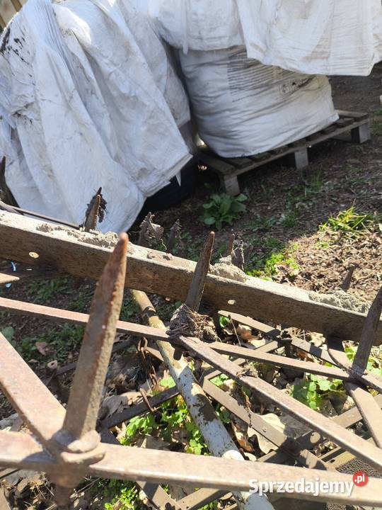 Brony Bronki 4m włóka Bełchów