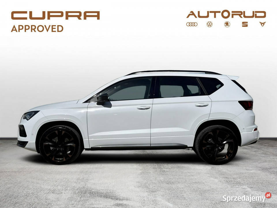 Cupra Ateca 15 TSI 150 DSG 2024 Bezwypadkowy lakier metallic Ateca świętokrzyskie Kielce
