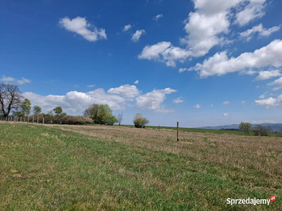 103 ha w Starym Wielisławiu Stary Wielisław sprzedam
