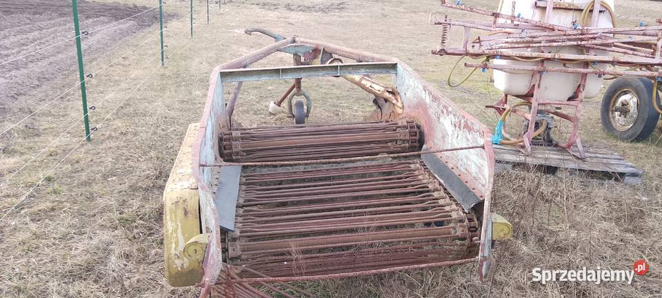 Kopaczka elewatorowa mazowieckie Gostynin