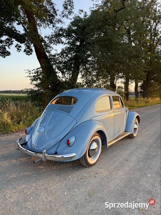 Volkswagen Garbus Oval 1954 niebieski małopolskie Olesno
