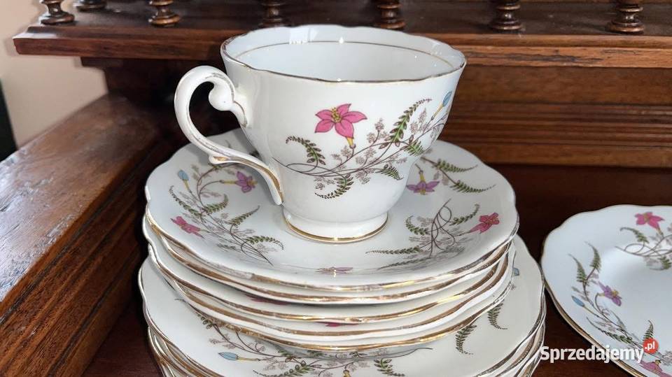 Serwis Fancy Free z Standart England Antyki, Sztuka, Kolekcje Gdańsk