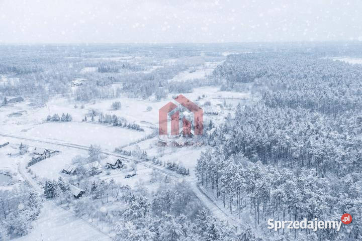 sprzedaży działki Krzywa 3100m2