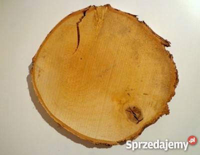 Okazja plastry drewniane brzoza 1824 Szlifowane Rybnik