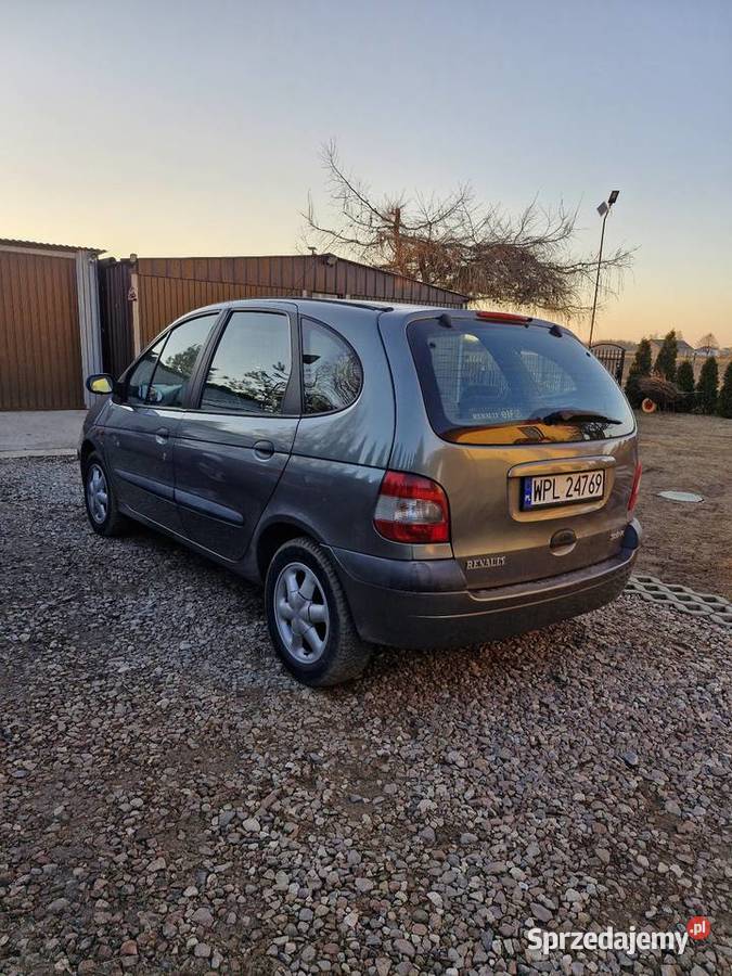 Renault senic mazowieckie Płock