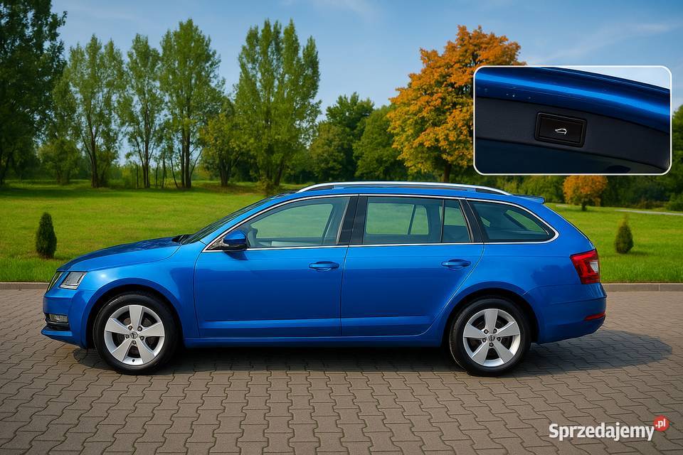 Skoda octavia 3 2019 Style Winter serwis ASO Toruń