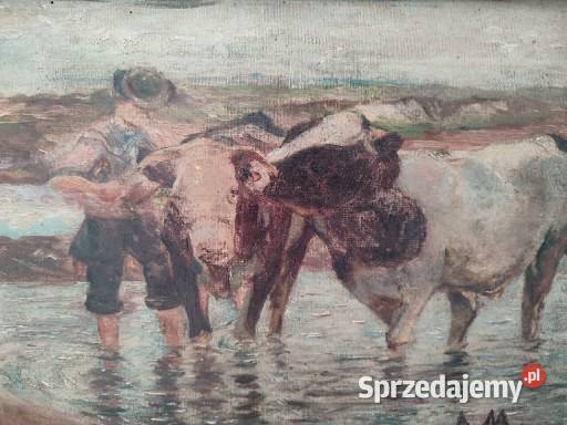 Stary obraz olejny Krowy u wodopoju Kartuzy sprzedam