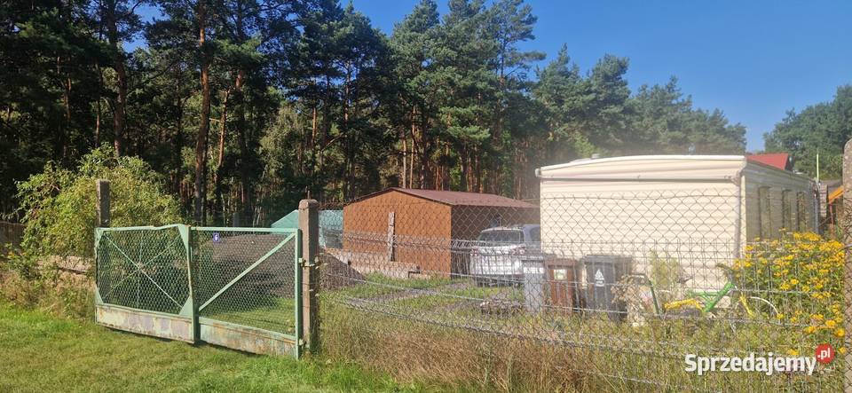 Działka rekreacyjna ROD Drwęca w Lubiczu Dolnym Lubicz Dolny