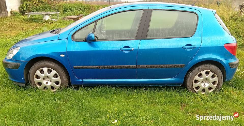 Peugeot 307