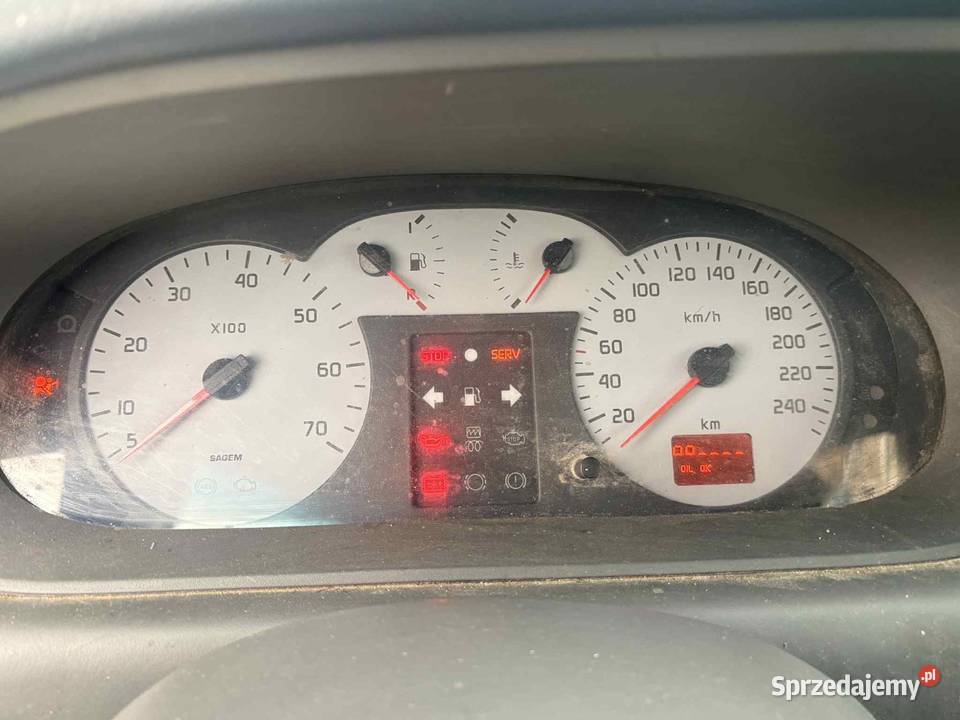 Renault Scenic Wielgomłyny