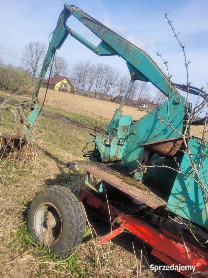 Cyklop polski Pozostałe Przodkowo