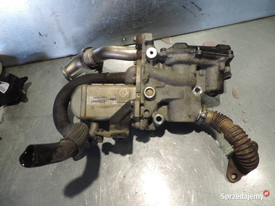 RENAULT MEGANE III 19 DCI CHŁODNICA SPALIN EGR osobowe Recyrkulacja spalin EGR