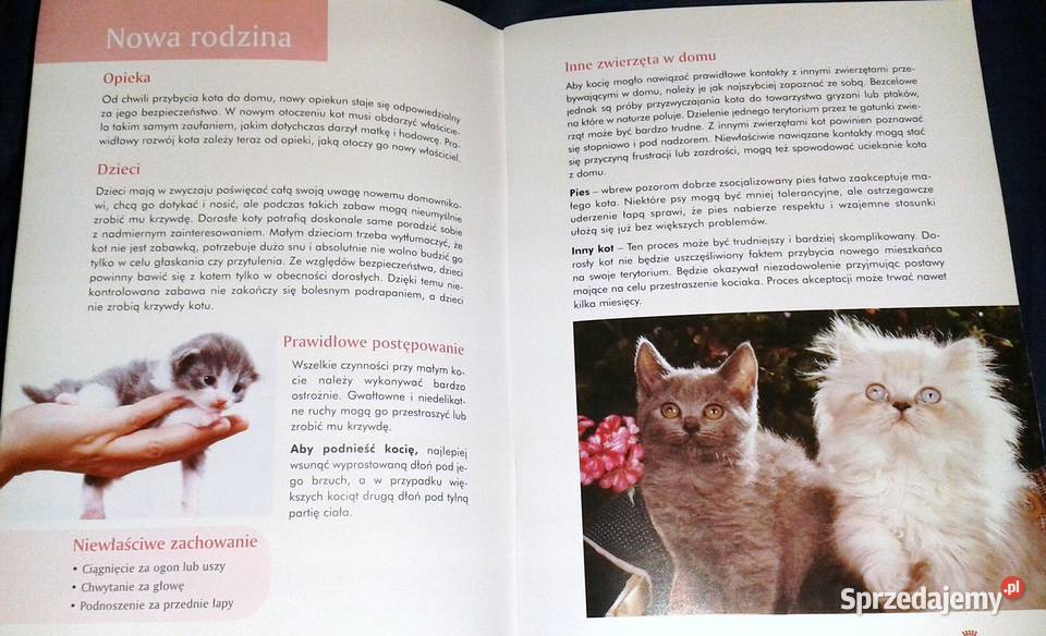 Życie z kotem Opieka i wychowanie Renner Lenfant Rok wydania 2001 lubelskie Chełm