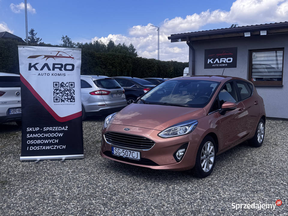 Ford Fiesta 2018r Polski Salon I właściciel Paniówki