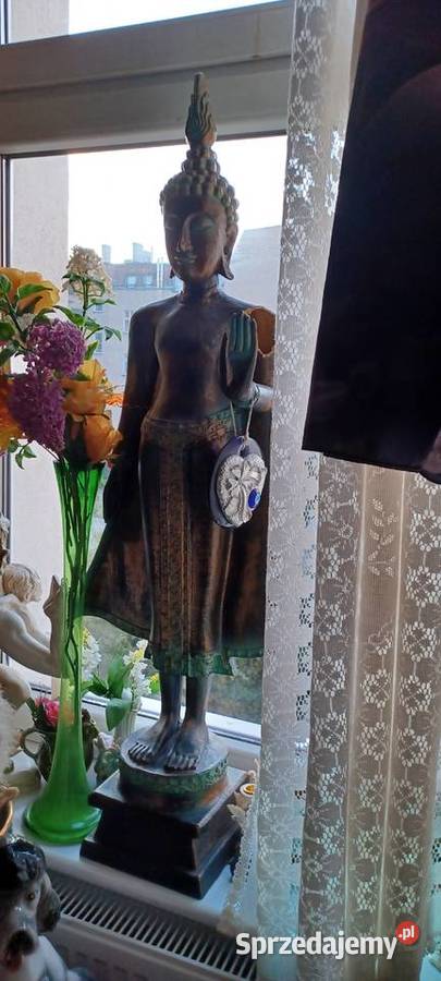 BUDDY CZTERY FIGURY wszystkie 500z Poznań