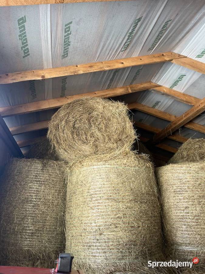 Sprzedam bele siana 120x120 pierwszy i drugi Ptaszkowa sprzedam