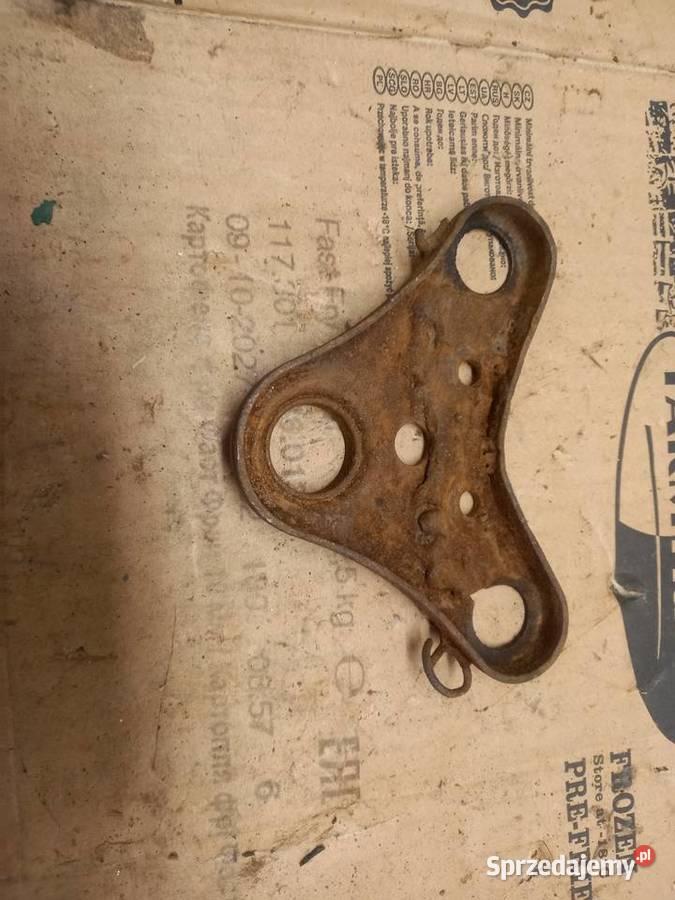 Polka zak rys Sokołów Podlaski