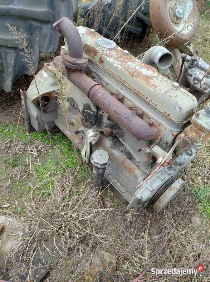 Silnik do bizona mazowieckie Przasnysz sprzedam