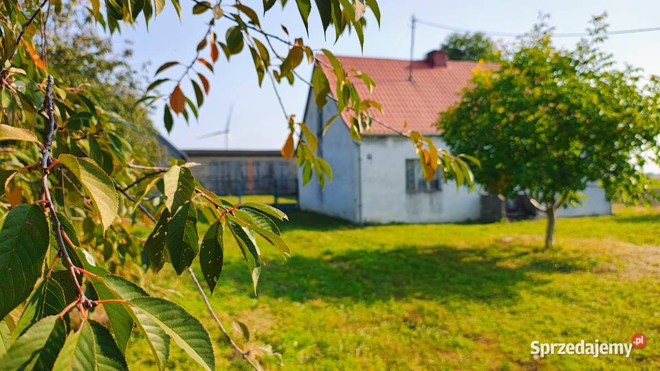 Sprzedam gospodarstwo dom budynki gospodarcze 1000m2 Osieczek