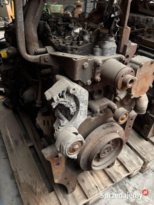 Perkins 33922200 Silnik Blok Wał Koło Pasowe Jastrzębniki sprzedam