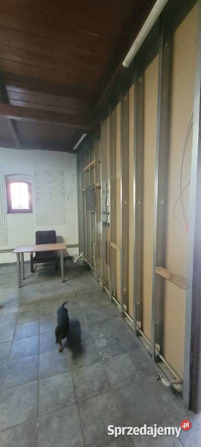 Lokal do wynajęcia sprzedam