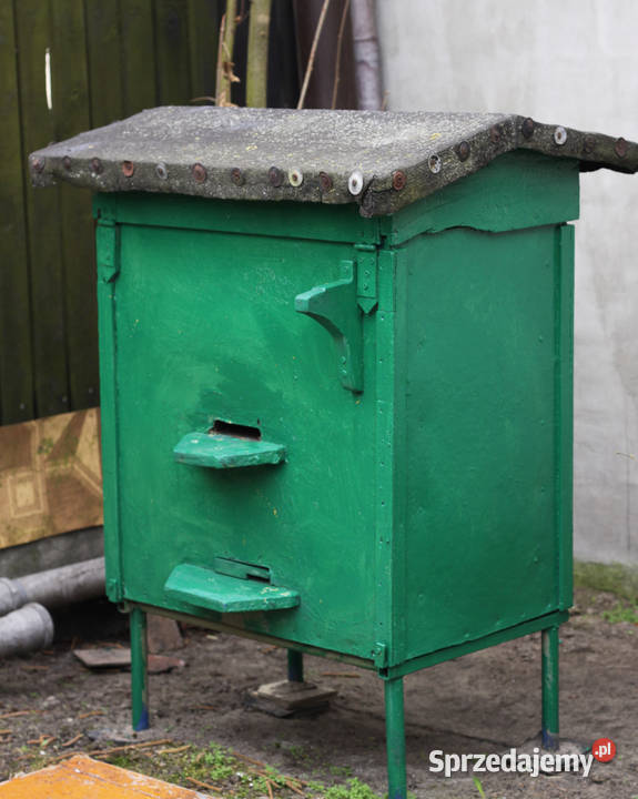 Ule z pszczołami Dziechciniec