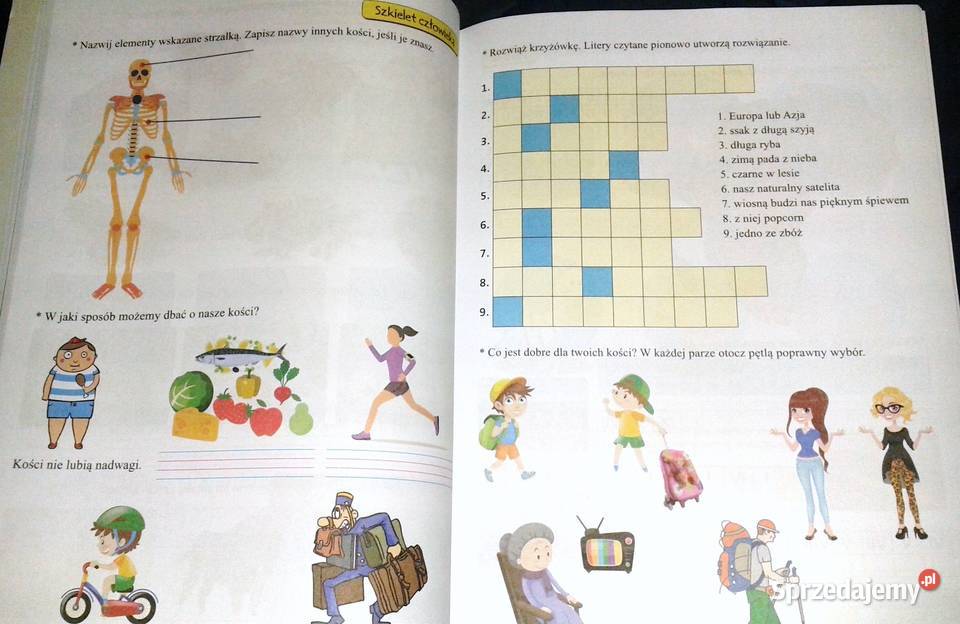 Zielona podróż kl 3 Ewa Borysiuk lubelskie Chełm