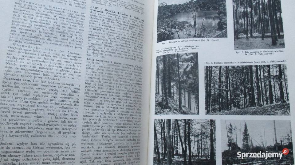 Encyklopedia Przyroda i Technika przyroda technika, nauki techniczne