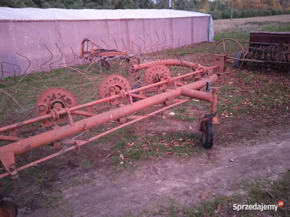 Sprzedam słoneczko 5 Stromiec