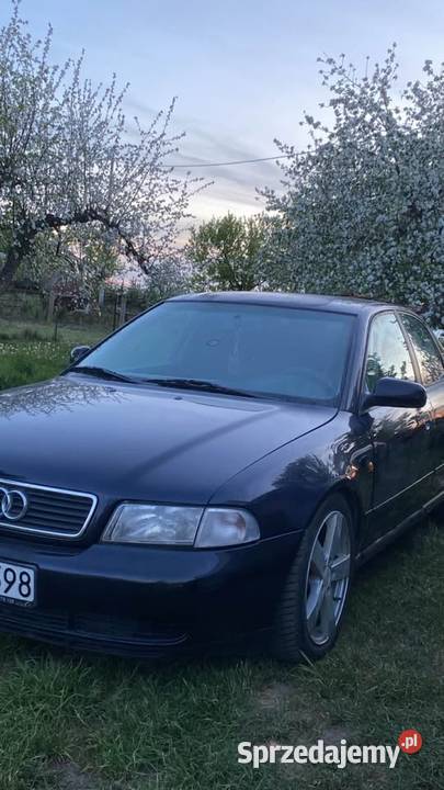 AUDI A4 B5 19TDI QUATTRO 140 sprzedam
