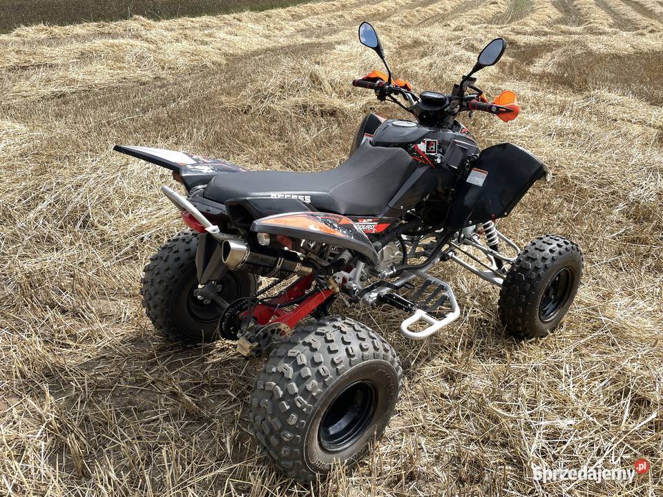 Quad ATV Access Lucky Star 200 Goszczanów