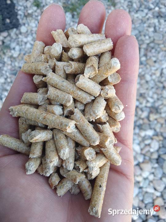 Pellet drzewny PREMIUM z Chotyłowa Krosno Odrzańskie sprzedam