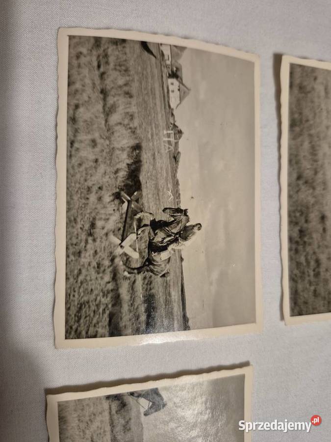 Fotografie Hermann Gring Reichsmarschall Militaria Kolekcje Brzesko