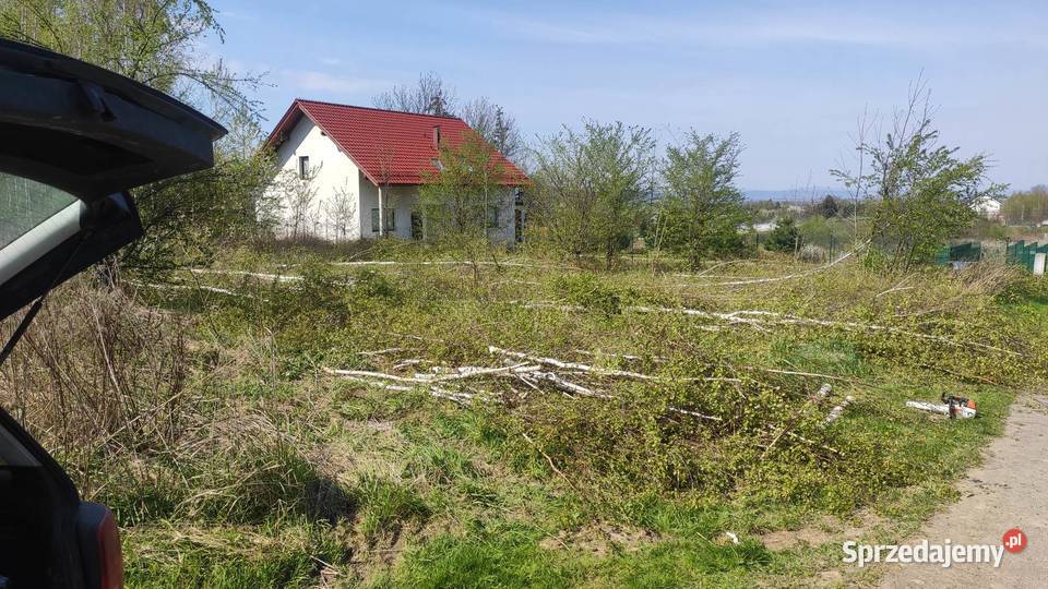 ścinka wycinka drzew koszenie trawy czyszczenie