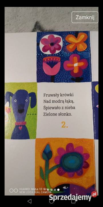 Zestaw książek dzieci Moszczenica
