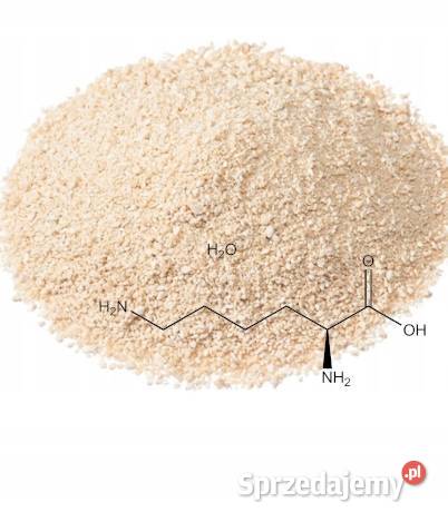 Siarczan Lizyny Lizyna Lysine Aminoacid 1 Łódź