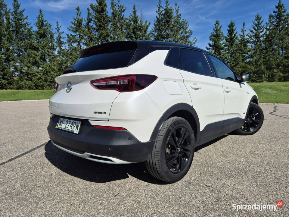 Opel Grandland X Opel Grandland X Design Line 16 pełny VAT Giżycko