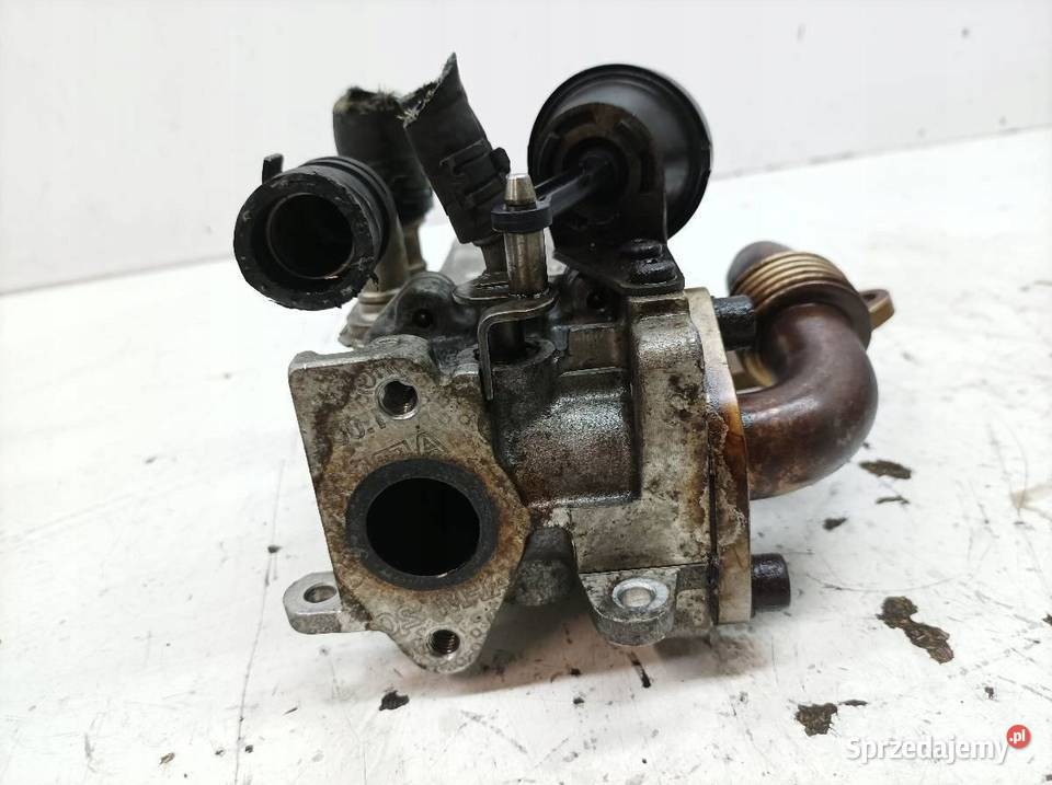 CHŁODNICA SPALIN EGR 030131513J 20 TDI Seat Rok produkcji 2005