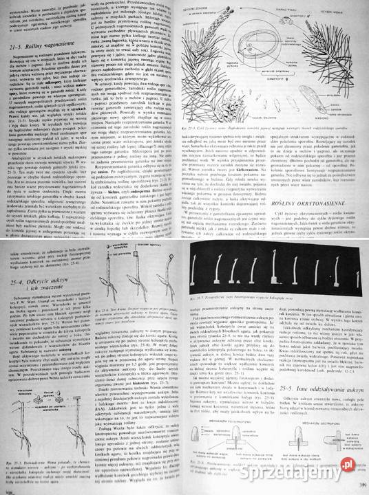 Biologia John W Kimball lubelskie Chełm
