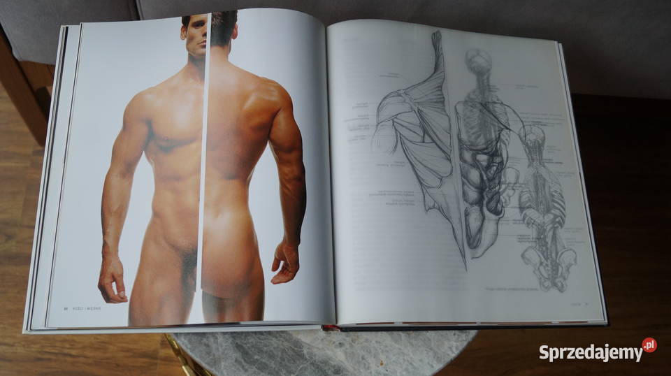 Anatomia artystów Sarah Simblet Książki i Podręczniki wielkopolskie Mrowino