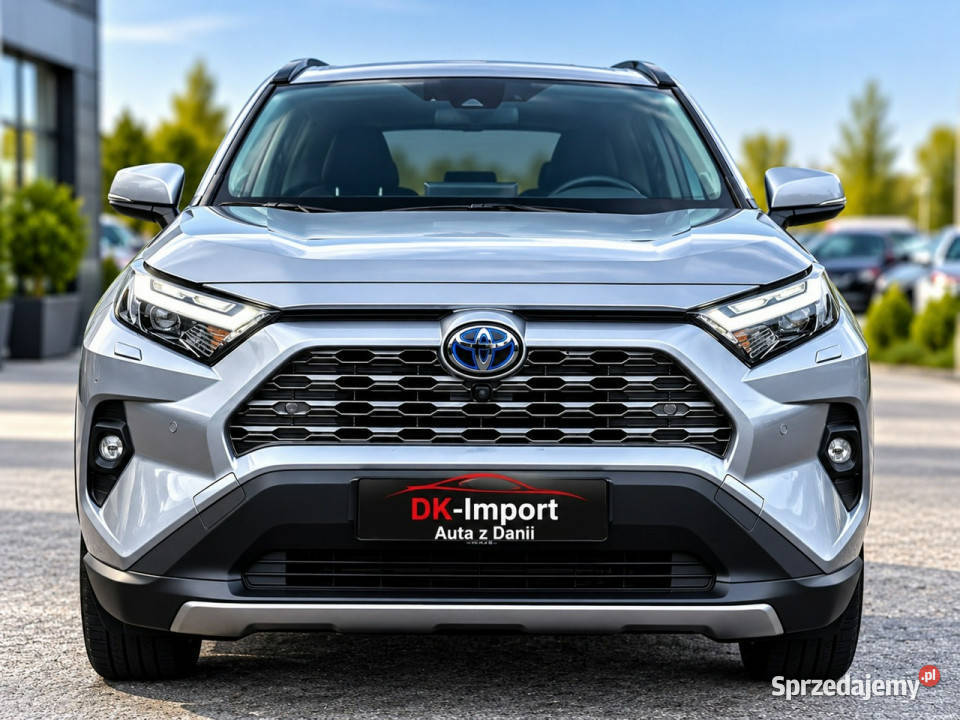 Toyota RAV4 V 2018 Sadlno