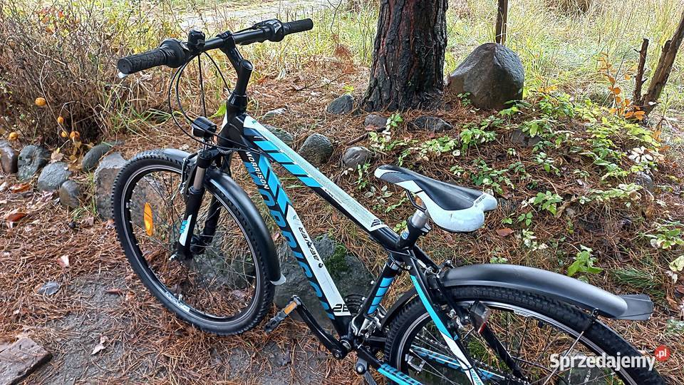 Alu Rower Górski Atb Młodzieżowy Morrison Beaver dolnośląskie Wołów